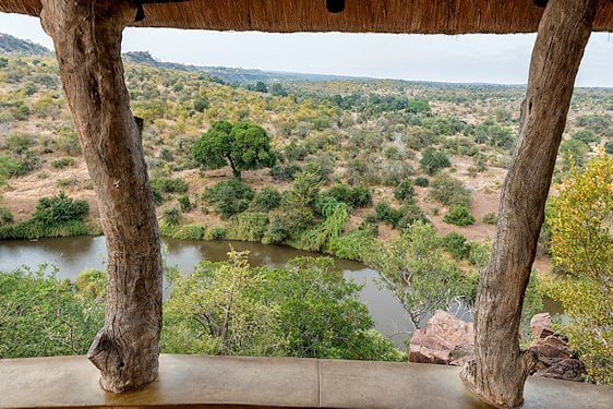 Dinner is prepared under an ancient riverside tree at Lion Sands Narina Lodge.