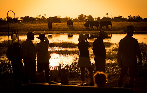 safari south africa 5 star