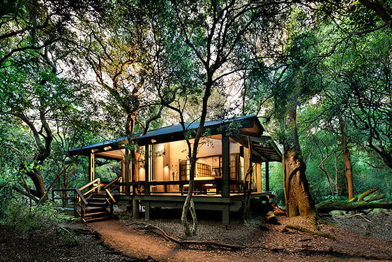 A wooden safari suite built into a shaded forest canopy with an open deck.