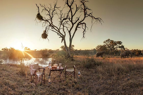 A private bush breakfast table set near a waterhole with elephants in the background at sunrise.