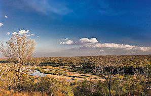 The rambling wilderness of Gorongosa National Park in Mozambique.