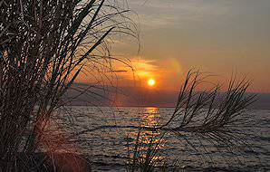 The shores of the Ruvuma River in the Niassa Reserve.