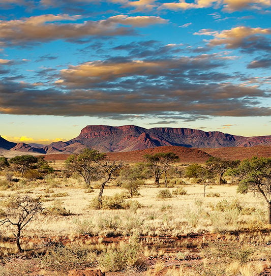 A range of rocky mountains rising behind the arid savannah of the Namibian Kalahari.