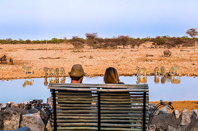 Couple sitting on a wooden bench watching zebras drink at a waterhole.