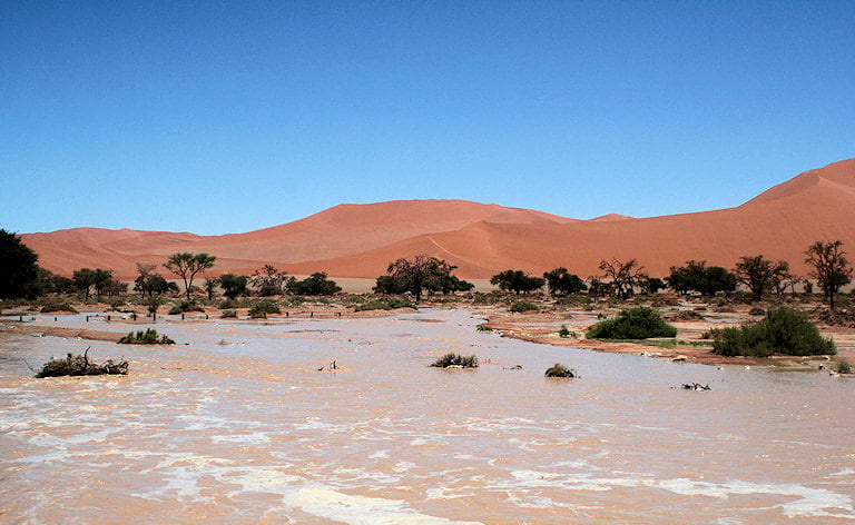 Water flowing through a flooded riverbed in front of red sand dunes, Sossusvlei, Namibia.