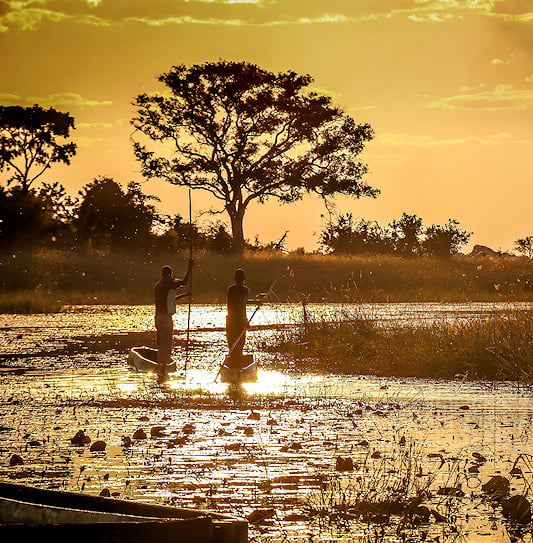 Two men steer mokoros through the golden, sunlit water of the Okavango Delta, Botswana.