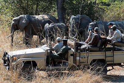 safari packages in africa