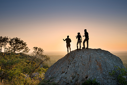 safari trips in south africa