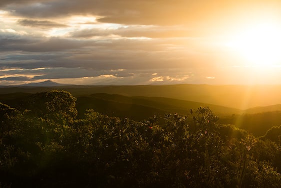 Sunlight shining over mountain ridges and valley foliage in the Mpumalanga highlands.