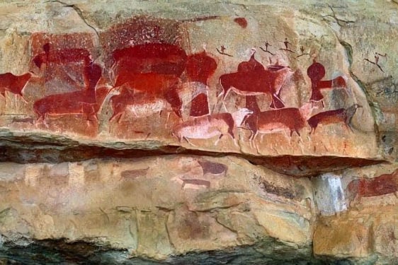 Ancient San rock paintings in red ochre depicting livestock and human figures on a sandstone wall.