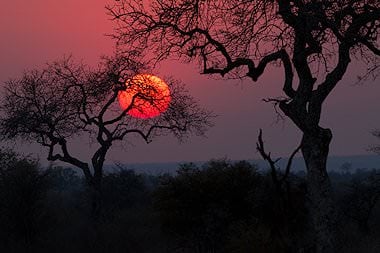 Sunset over the African wilderness.