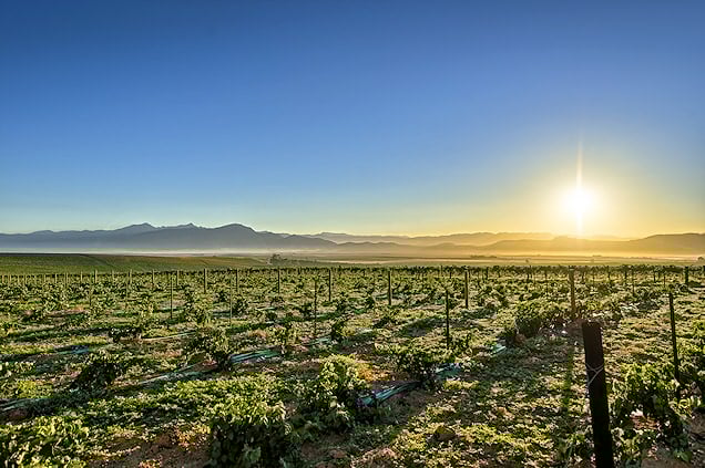 Photo of a beautiful landscape in the Cape Winelands.