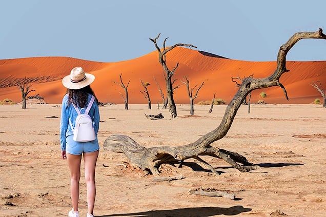 Red dunes of Sossusvlei.