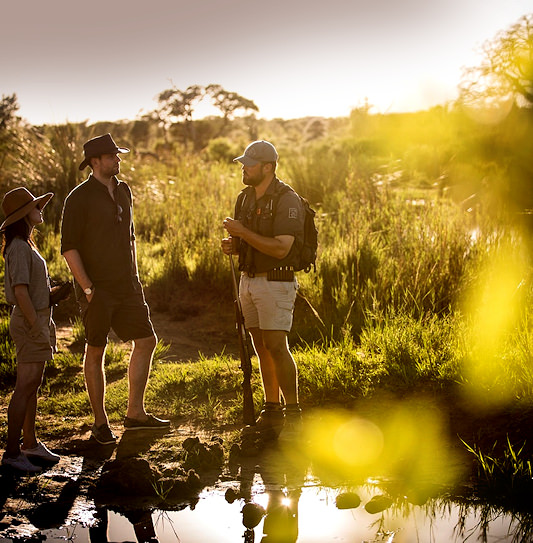 A man and a woman talking to a game ranger holding a rifle in the bushveld.