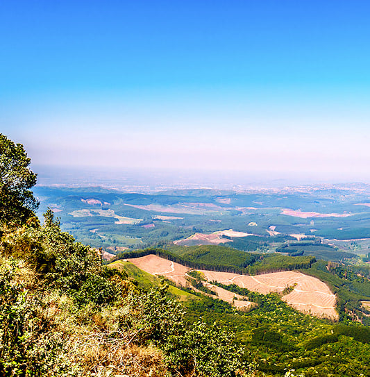 A vast green forest landscape stretching to the horizon, God's Window, Mpumalanga.