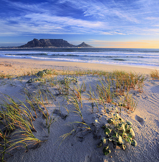 Table Mountain across the ocean seen from a sandy beach with dune grass, Cape Town.