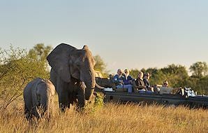 Guests on a game drive observe an elephant cow and her calf.