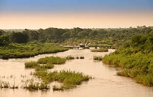 A perennial river in the Kruger National Park.
