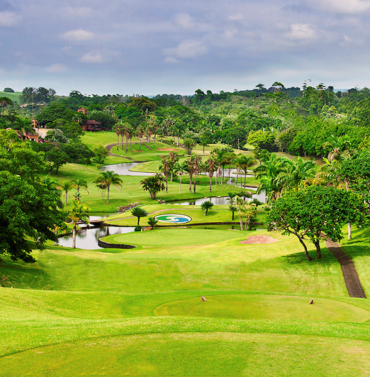 A sweeping view of fairways and a stream flowing past palm trees on the South Coast.