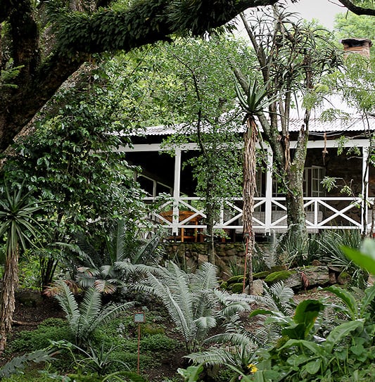 Historic stone lodge with a white timber veranda surrounded by forest foliage in Eswatini.