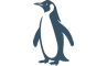 African penguins icon