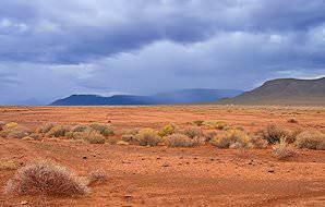 The ruddy, barren landscape of the Tankwa Karoo National Park.