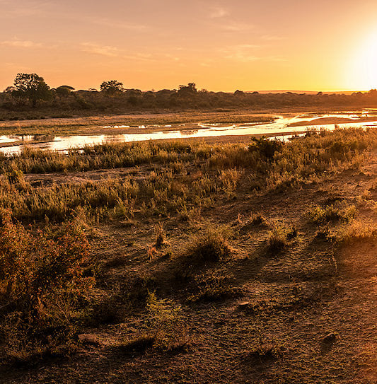 Golden sun setting low over a shallow winding river and dry grassy banks in Kruger National Park.