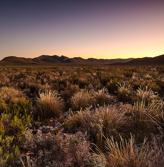The arid shrubland of Karoo National Park under a twilight sky, with mountains in the distance.