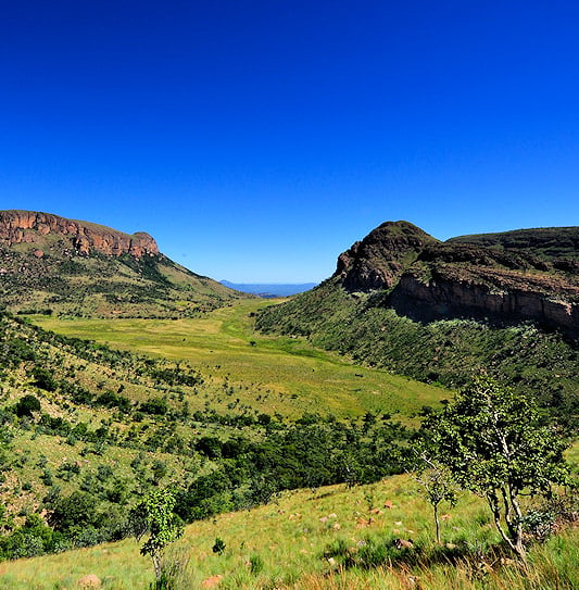A wide green valley winding between rolling hills and sloping mountain ranges under a clear blue sky in Marakele National Park.