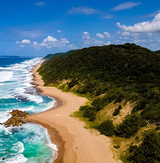 An aerial view of a long sandy coastline bordered by a dense dune forest in iSimangaliso Wetland Park.