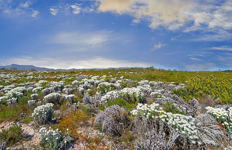 Table Mountain National Park South