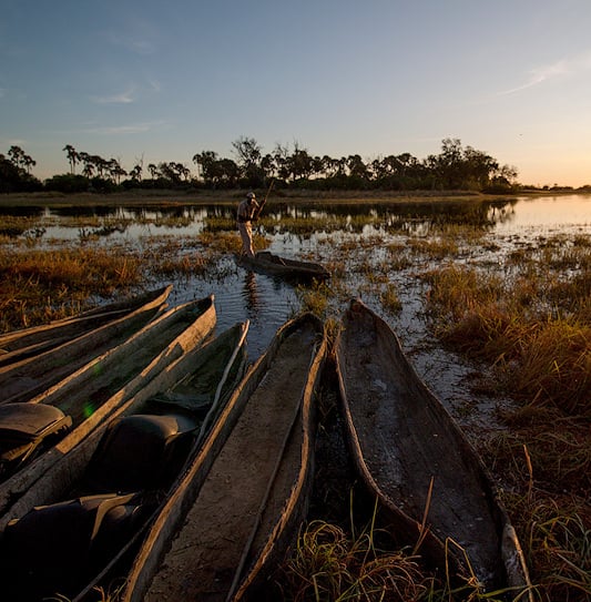 Mokoros resting on the edge of a water channel at sunset in the Okavango Delta, Botswana.