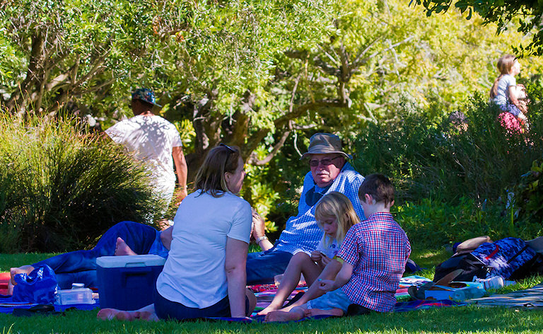 Family sitting on blankets having a picnic on the lawn at Kirstenbosch Botanical Gardens, Cape Town.