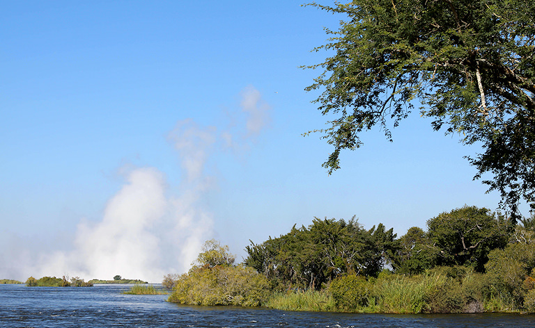 Plume of spray rising above the trees from the river, Victoria Falls, Livingstone, Zambia.