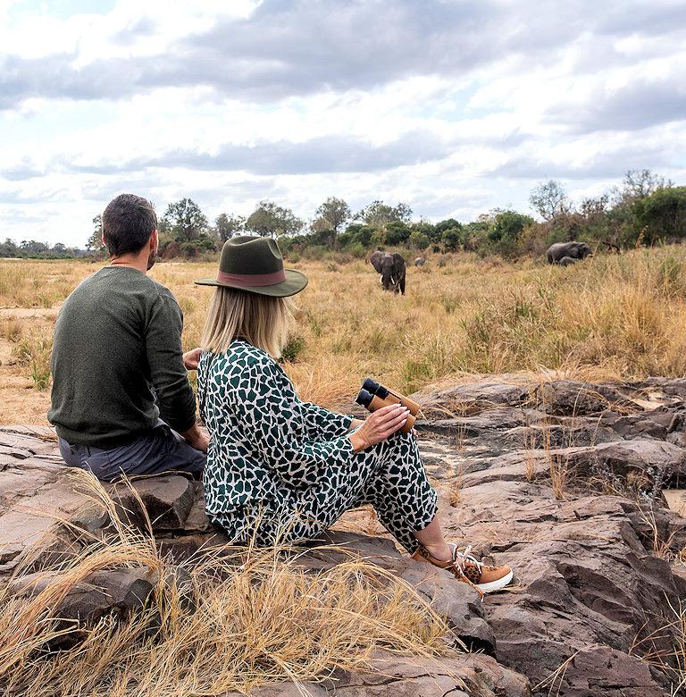 Two tourists sitting on a rock outcrop watching wild elephants in dry grass.