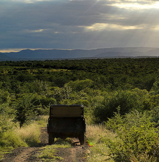 A safari vehicle driving along a gravel road through the Eswatini wilderness.