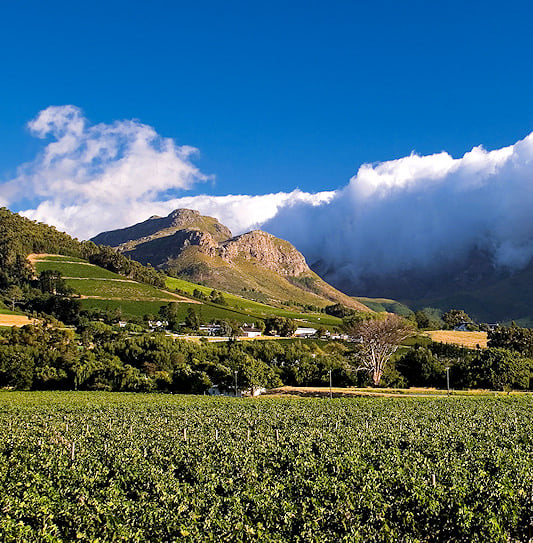 Vineyards and mountains with a cloud bank in Franschhoek, South Africa.