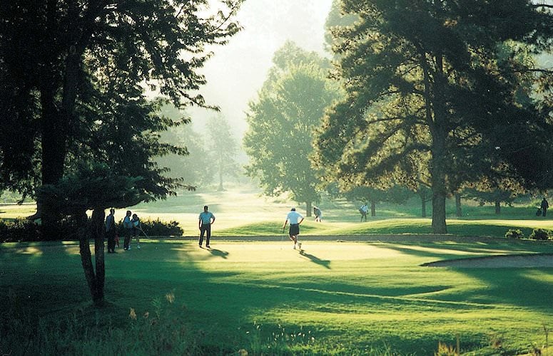 Golfers walking across a tree-lined fairway as early morning sunlight filters through tall pines and haze.