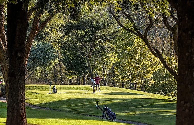 Two golfers on a tee box framed by large tree trunks, with a golf trolley on the path below.