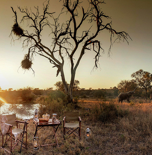 Picnic table near a waterhole with elephants roaming in Timbavati Private Game Reserve.