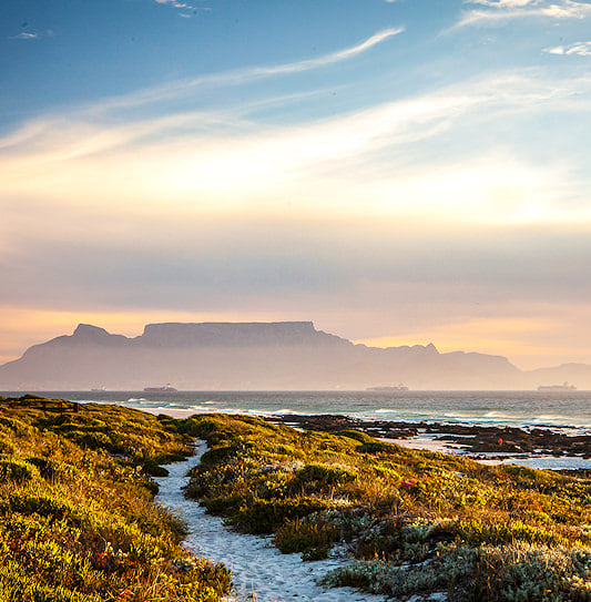 Table Mountain viewed across the ocean at sunset with fynbos dunes in the foreground, Cape Town, South Africa.