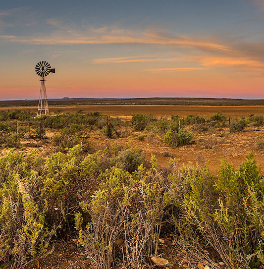 A remote farmhouse against the backdrop of the semi-arid Little Karoo, South Africa.