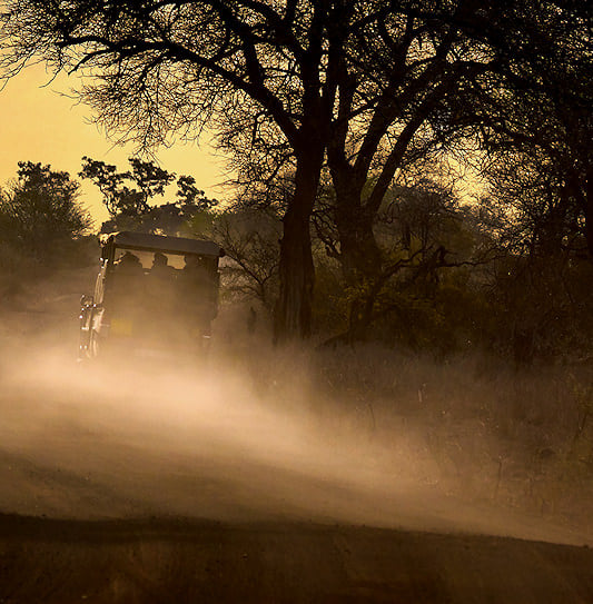 Two safari vehicles traveling on a dusty gravel road at sunset in Kruger National Park, South Africa.
