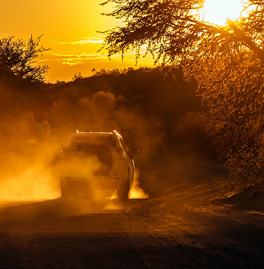 A safari vehicle kicking up dust at sunset in Kgalagadi Transfrontier Park, South Africa.