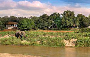 An elephant drinks from the river in front of Dulini Lodge.