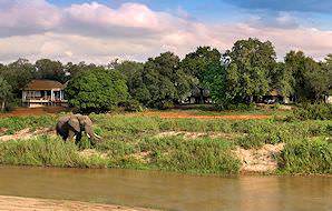 An elephant drinks from the river in front of Dulini Lodge.