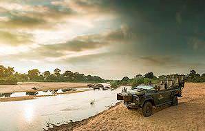 An afternoon game drive taken from Savanna Lodge in the Sabi Sand.