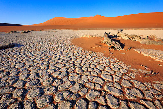 Cracked white clay pan in front of a towering red sand dune at Deadvlei.