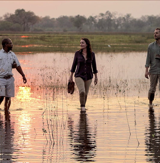 Guests walking with a guide through shallow floodplains at sunset in the Okavango Delta.