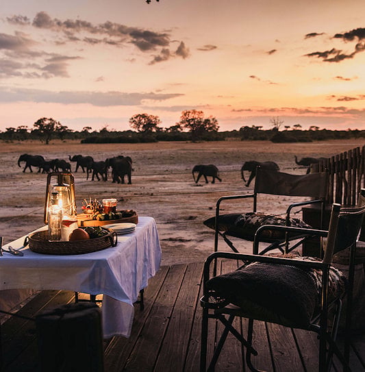 A safari dinner setting at a lodge in Zimbabwe with elephants walking in the background.